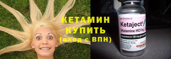 стаф Пересвет