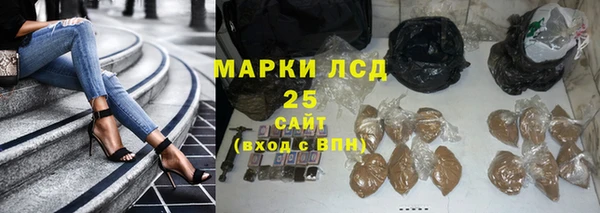 дживик Пестово