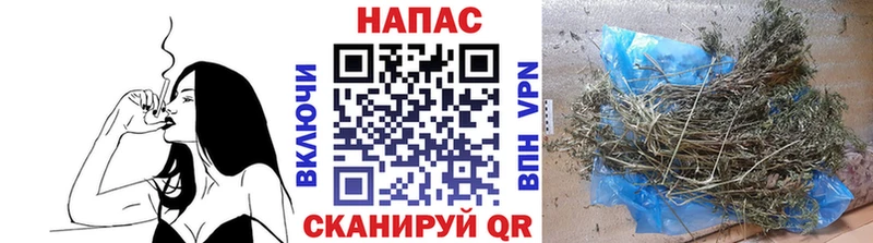 Канабис сатива  shop как зайти  Алдан 